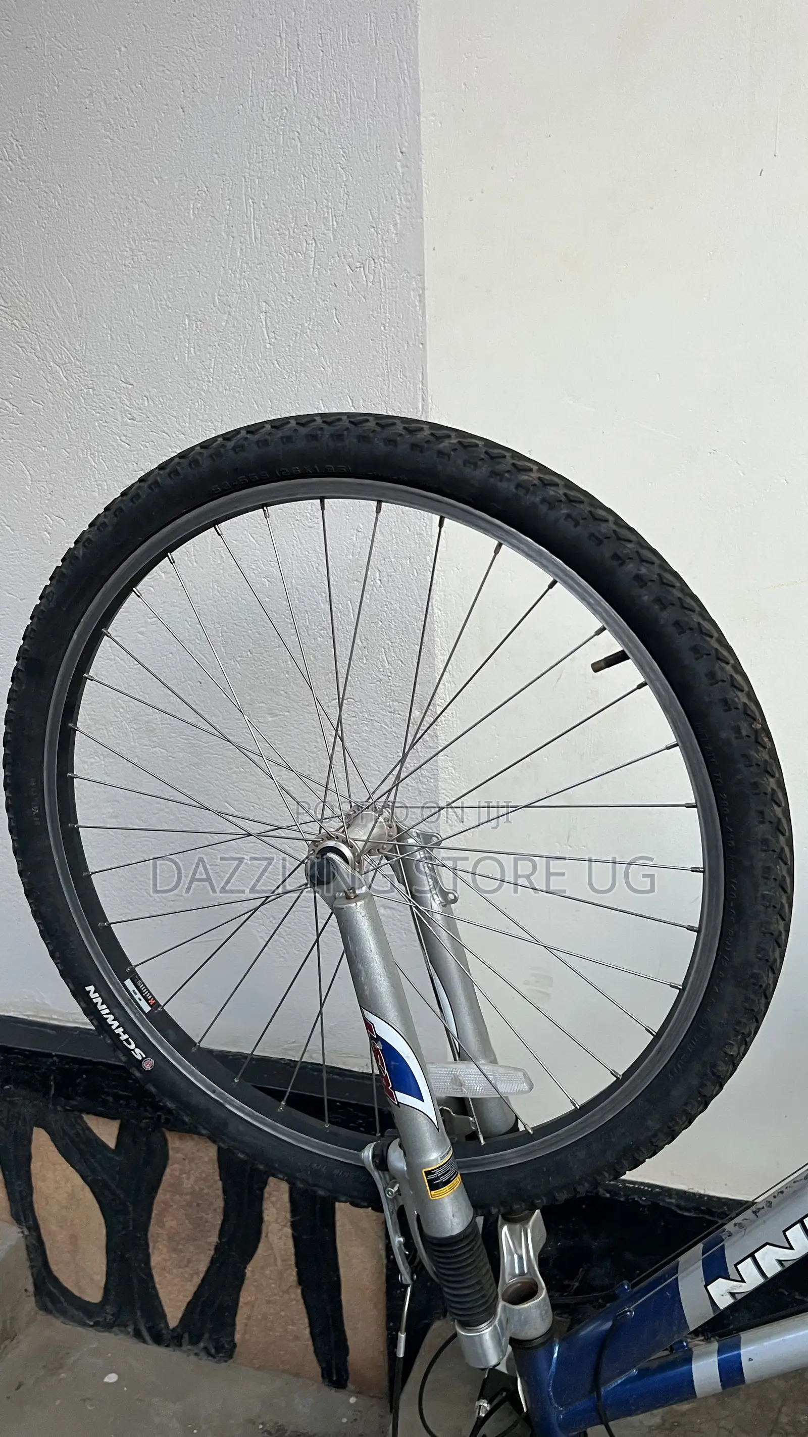 Female Adult Bicycle
