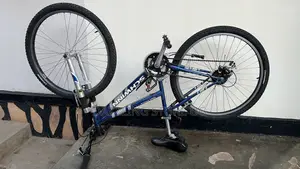 Female Adult Bicycle
