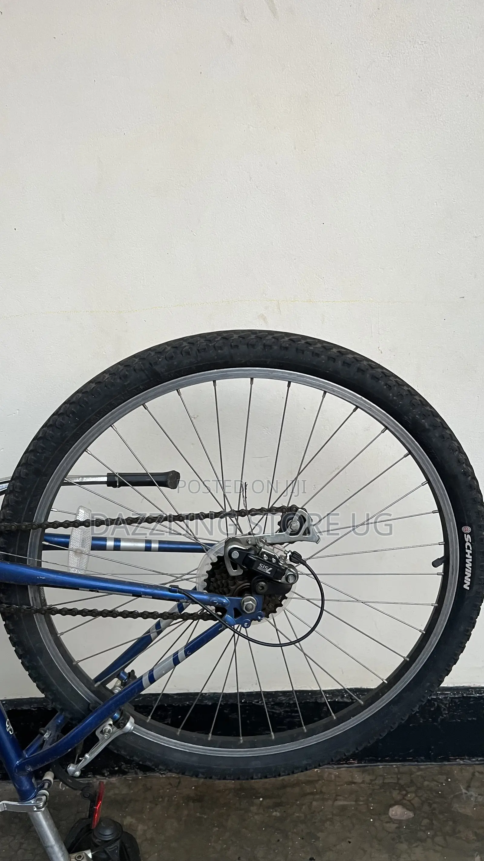 Female Adult Bicycle