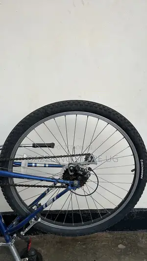 Female Adult Bicycle