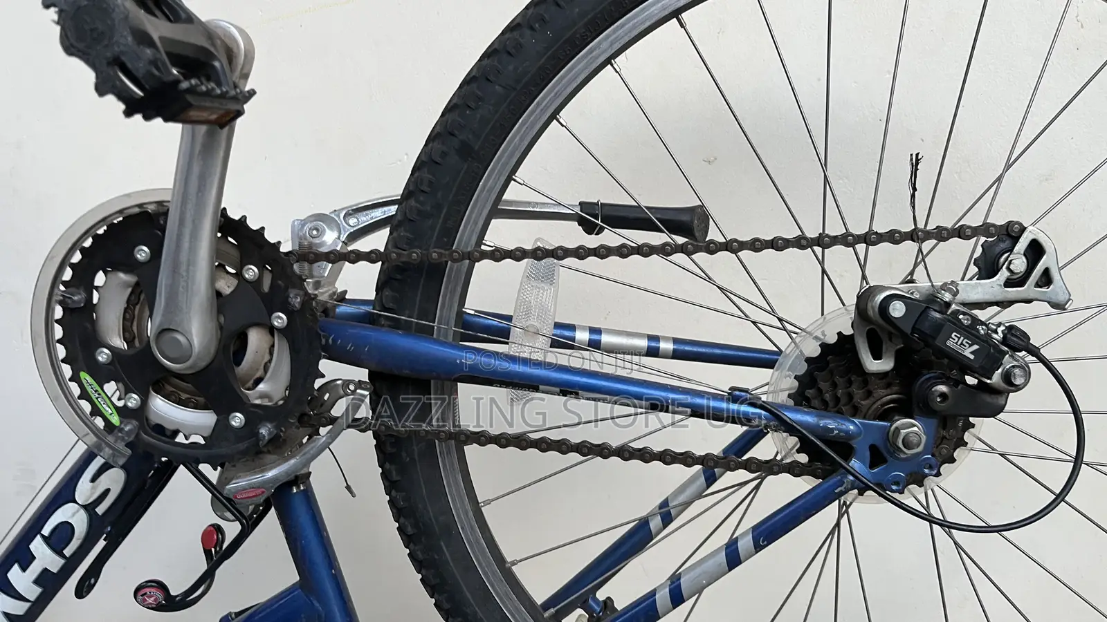 Female Adult Bicycle