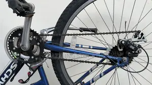 Female Adult Bicycle