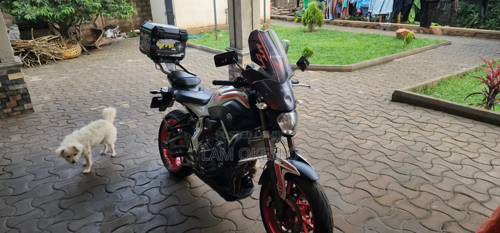 Yamaha FZ 2016 White