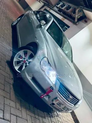 Toyota Mark X 2009 Silver