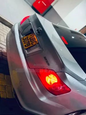 Toyota Mark X 2009 Silver