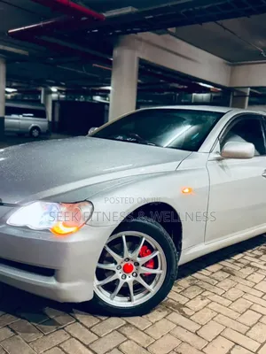 Toyota Mark X 2009 Silver