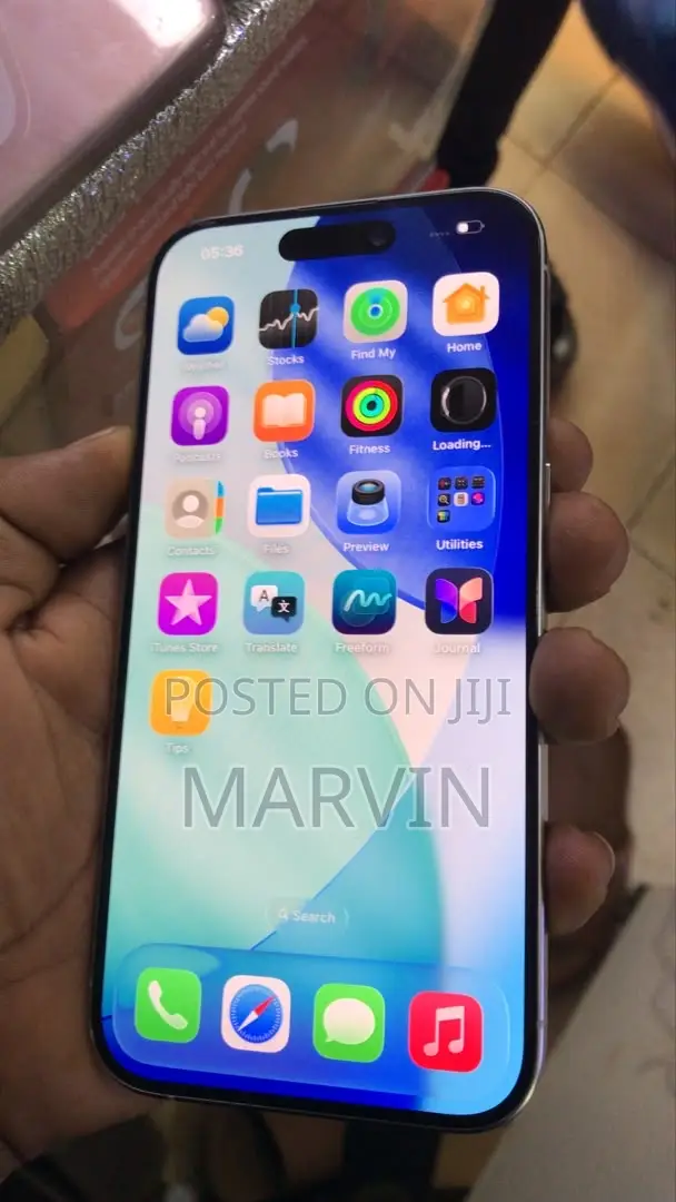 Apple iPhone 15 Pro Max 256 GB Gray