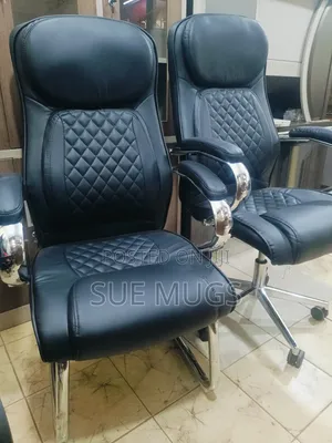 Executive Leather Office