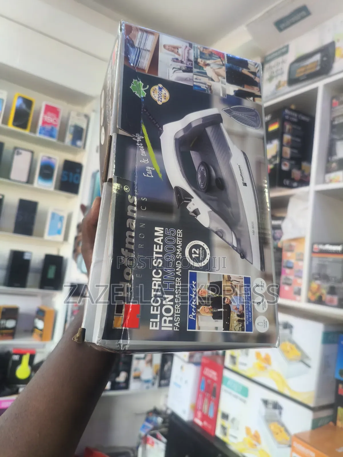 Hoffman Steam Iron