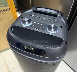 Digiwave DW-PS5019, an 80W Dual 8-Inch Rechargeable Party Speaker