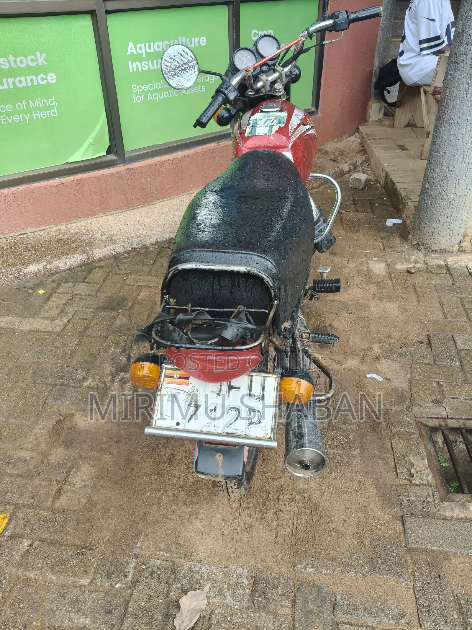 Bajaj Boxer 2023 Brown