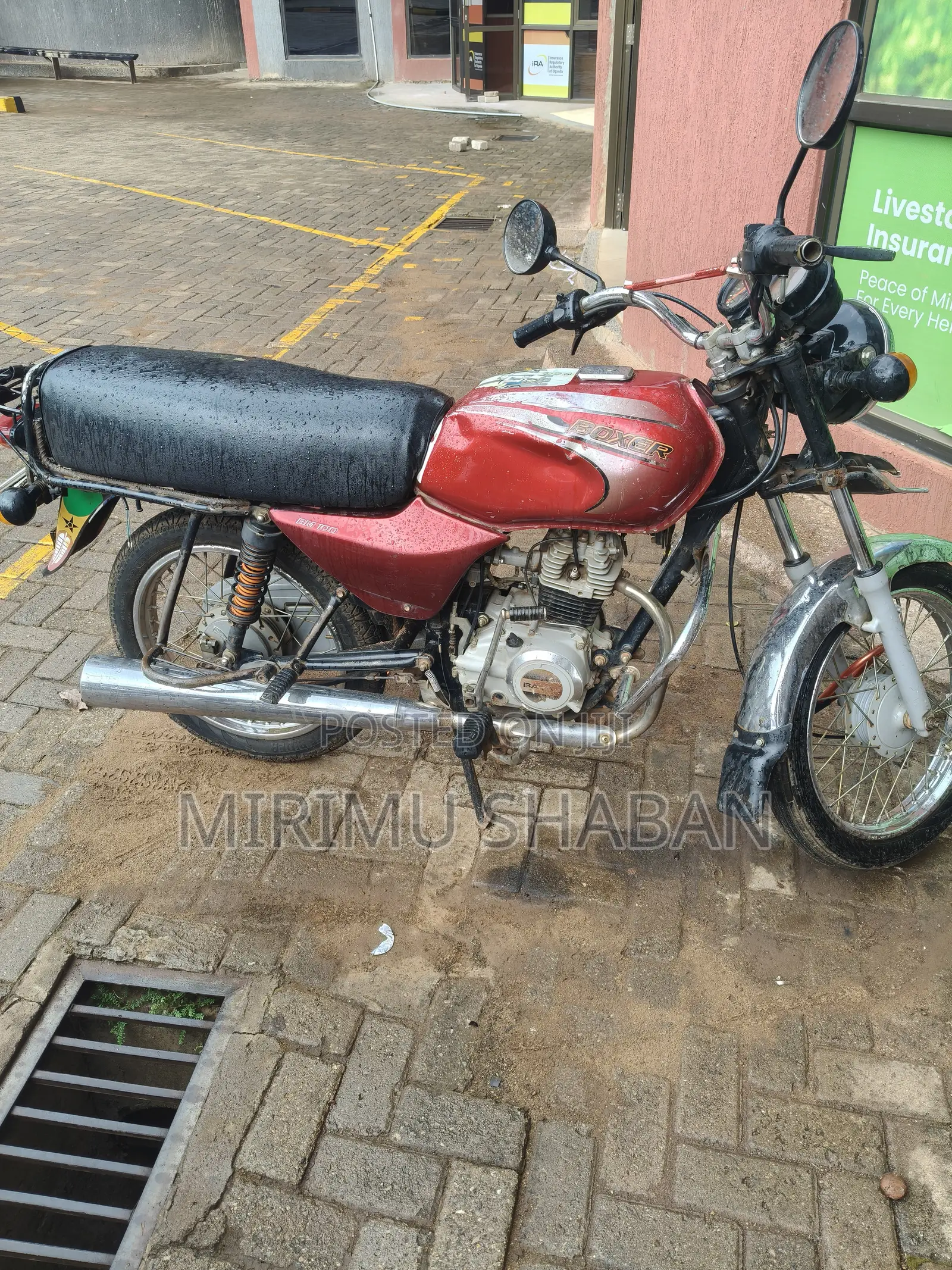 Bajaj Boxer 2023 Brown