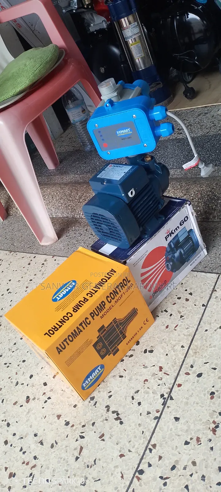 Automatic Pump Controller and Pedrollo Surface Pump(0.5hp)