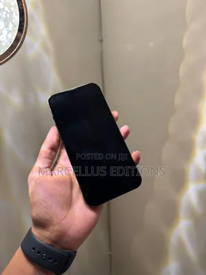 Apple iPhone 13 Pro Max 256 GB Black