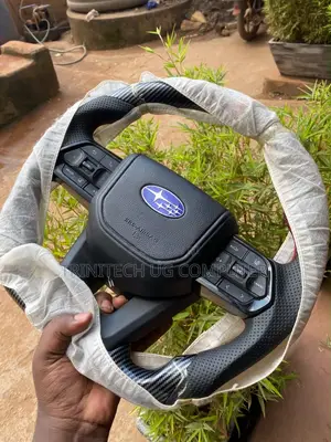 Steering Wheel With Multimedia Controls