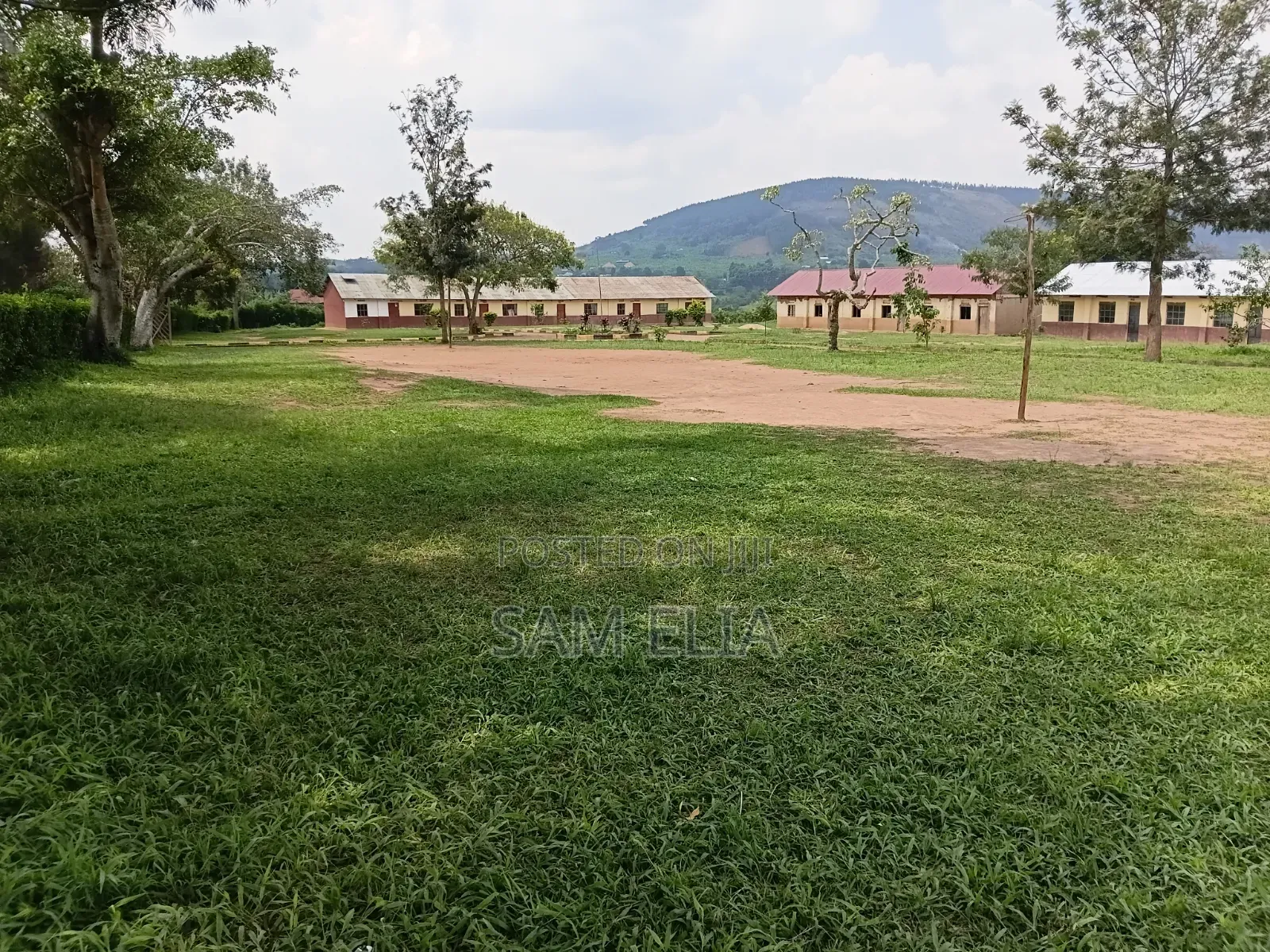 Land With a School on It