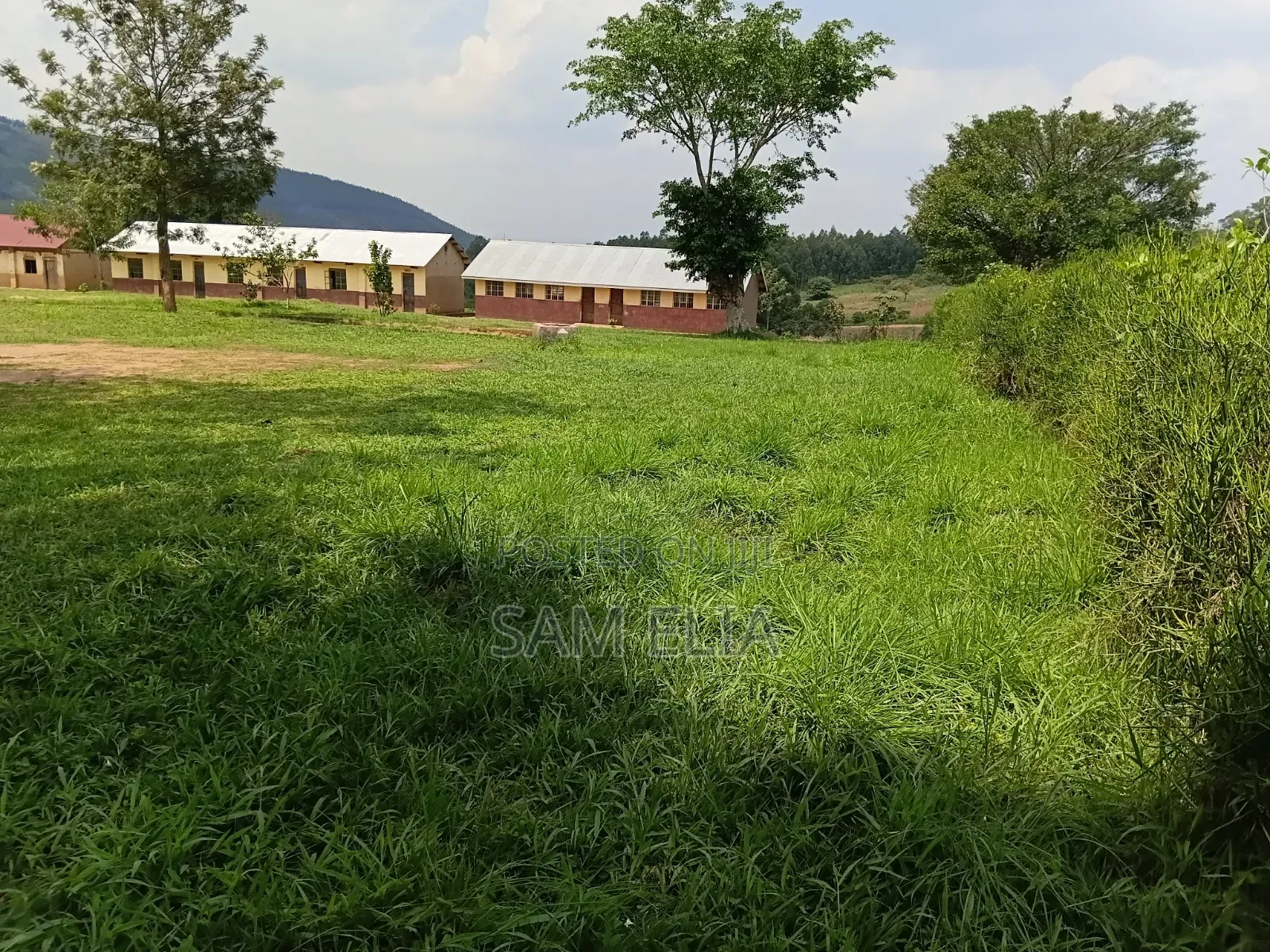 Land With a School on It