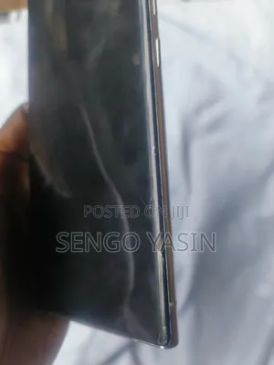 Screen Only
