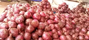 Marketing Very Big Onions and Dry