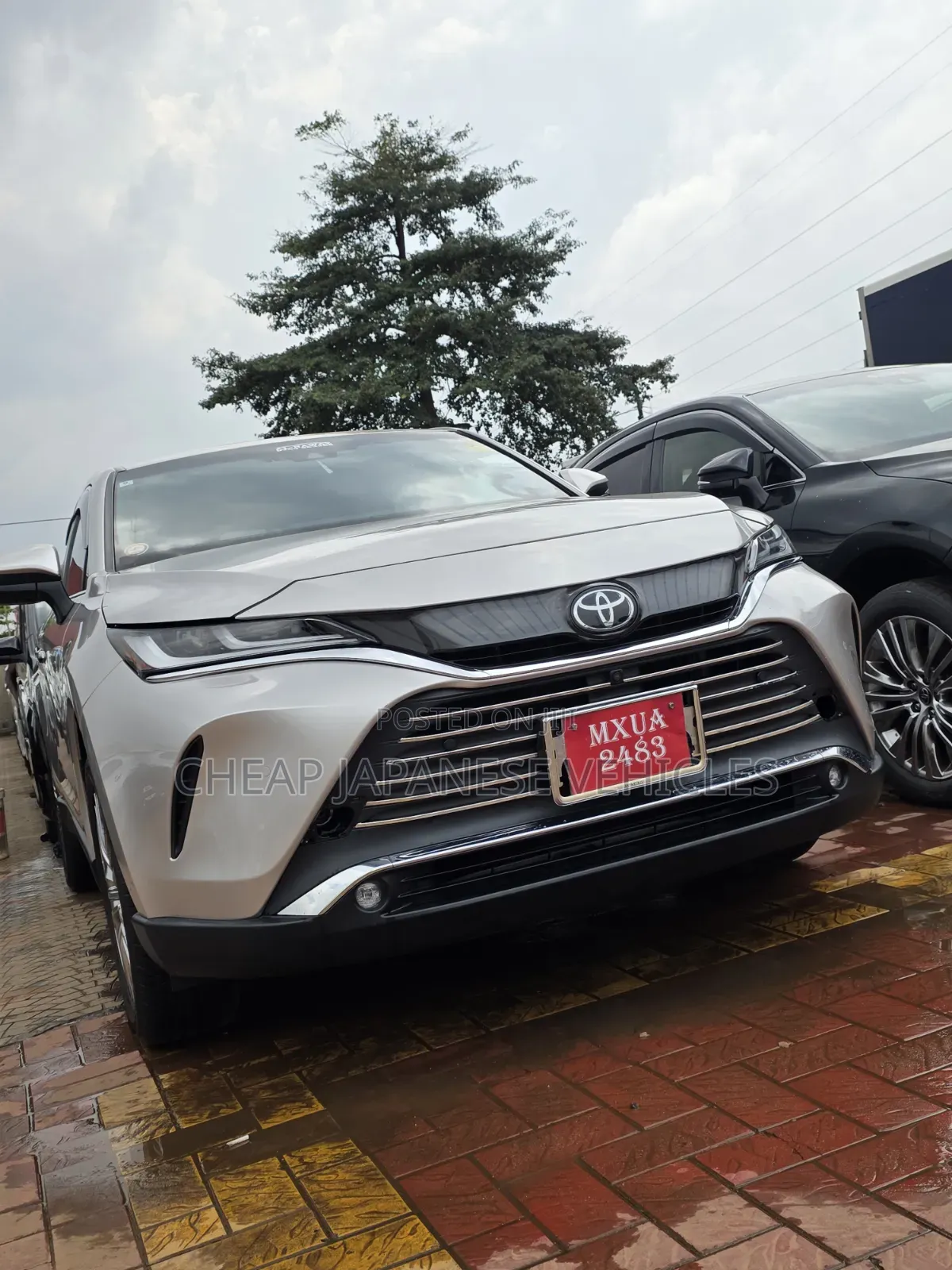 Toyota Harrier 2.0 2020 Beige