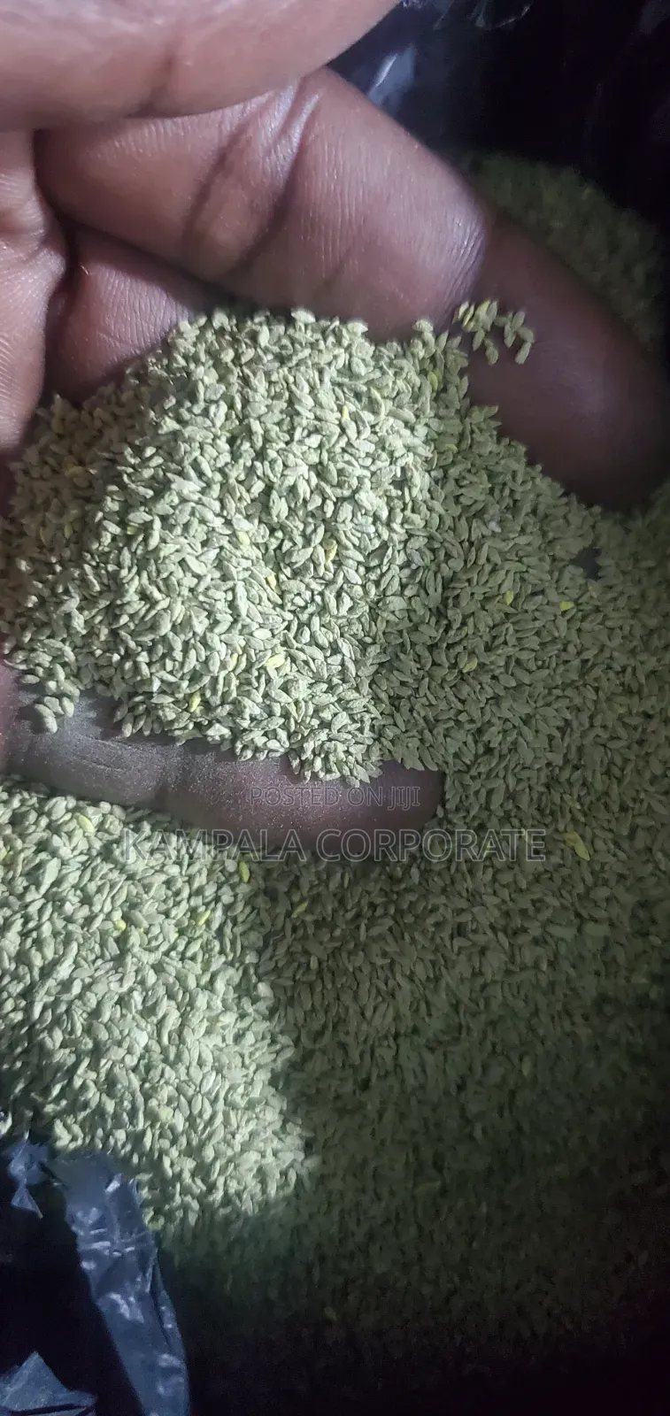 Compound Grass Seeds