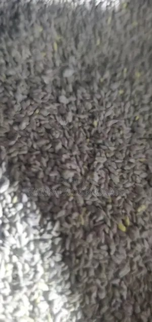 Compound Grass Seeds