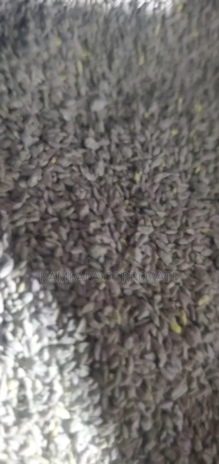 Compound Grass Seeds