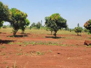 Mukono Kisoga Town Estate