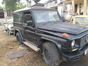 Mercedes-Benz G-Class 1995 Black