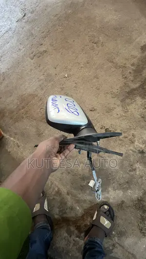Raum New Model Side Mirror