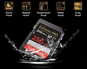 Sandisk 256gb Extreme Pro SDXC Uhs-I Memory Card - C10, U3, V30, 