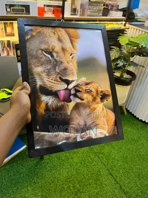 Wall Framed Art