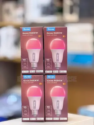 Govee LED Smart Bulb E27