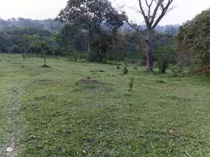 Land Suitable for Farming