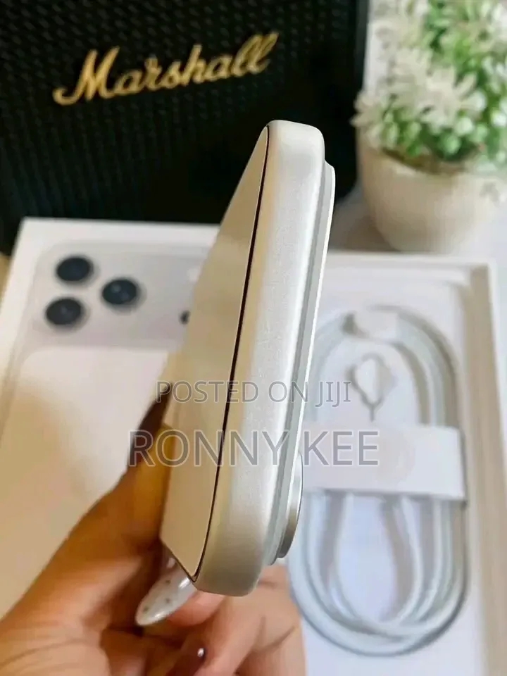 New Apple iPhone 17 Pro Max 256 GB Silver