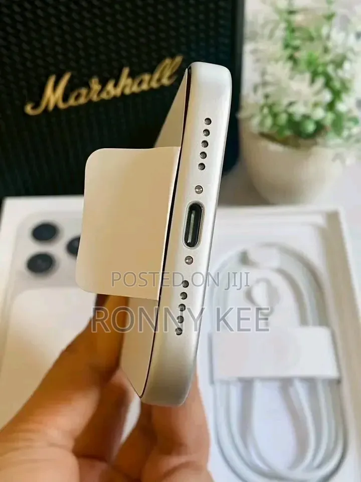 New Apple iPhone 17 Pro Max 256 GB Silver