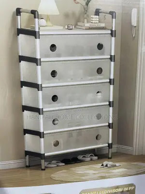 Modern Enclosed Shoe Organizer