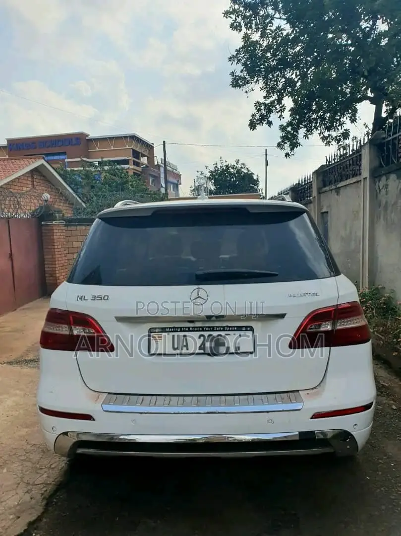 Bluetec 2013 for Hire