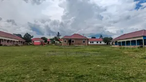 Primary School and Nursery for Sell