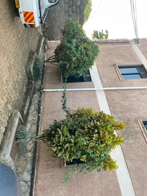 2bdrm Apartment in Kanani Estate, Katabi for sale