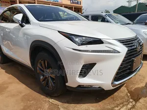 Lexus NX 2023 White