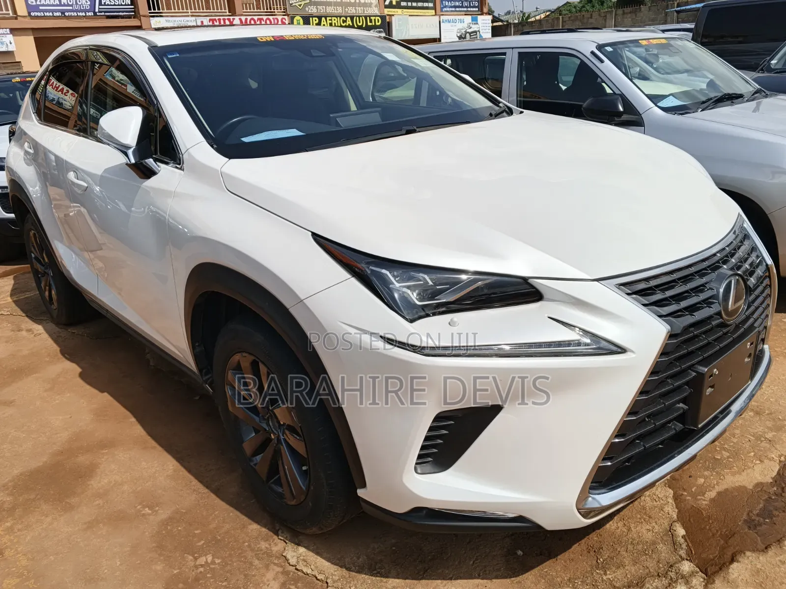 Lexus NX 2023 White