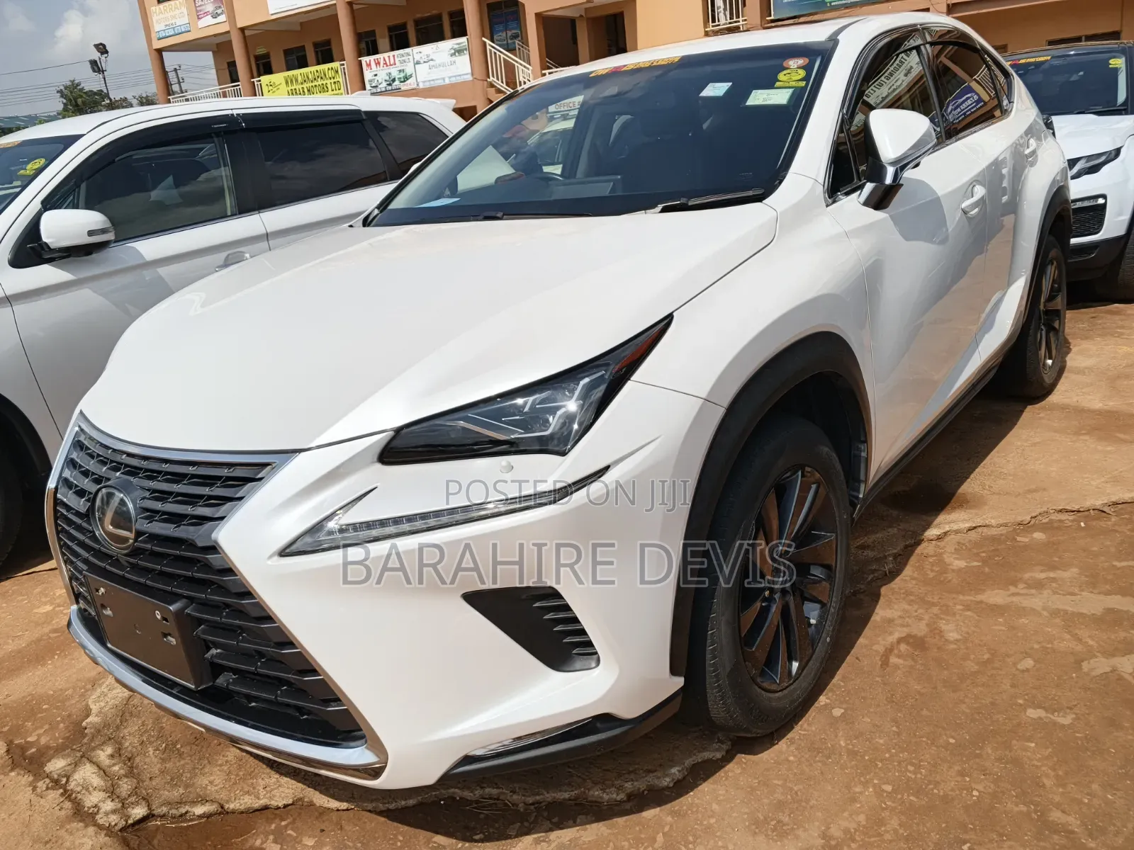Lexus NX 2023 White