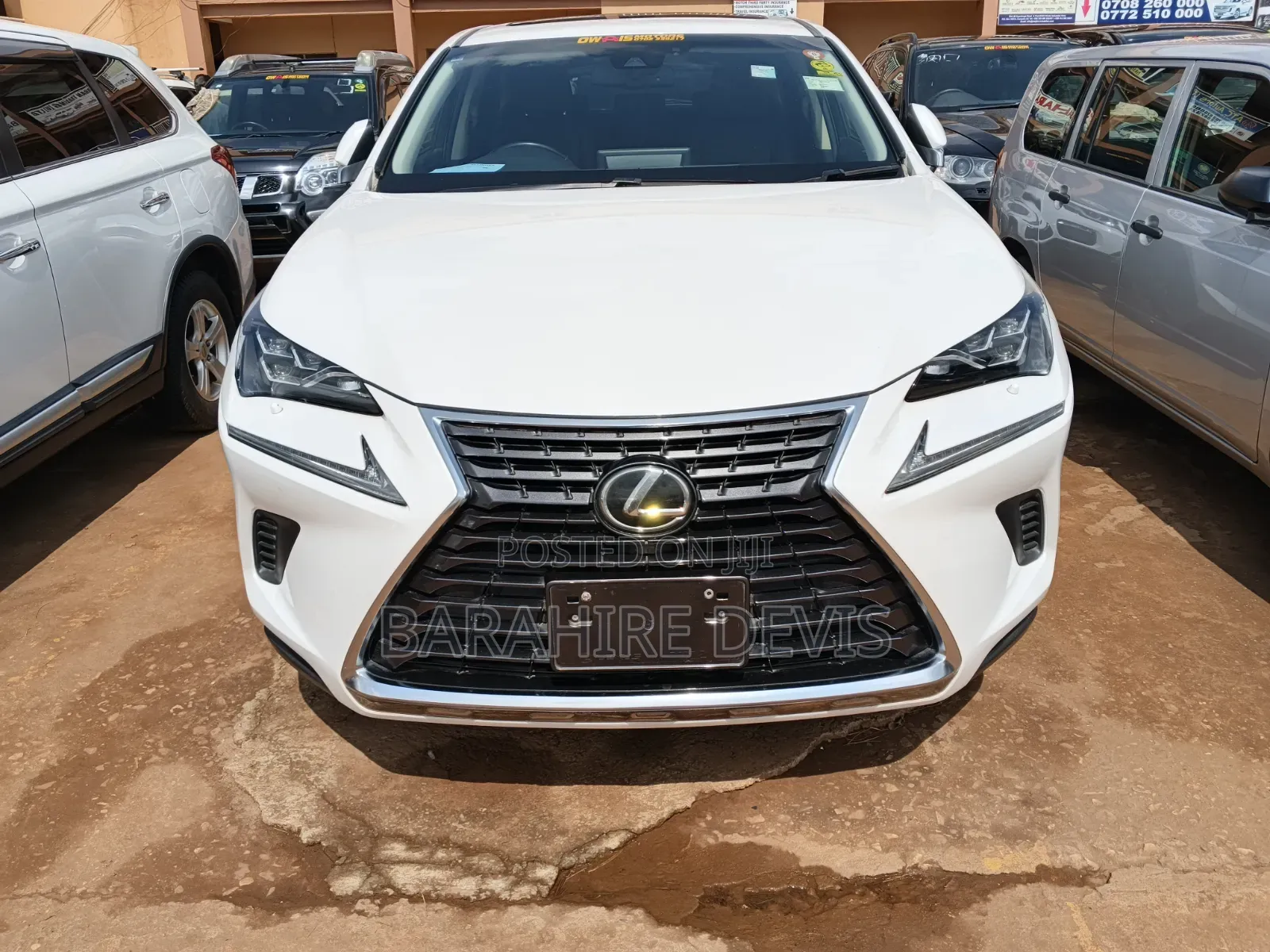 Lexus NX 2023 White