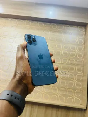 Apple iPhone 12 Pro Max 256 GB Blue
