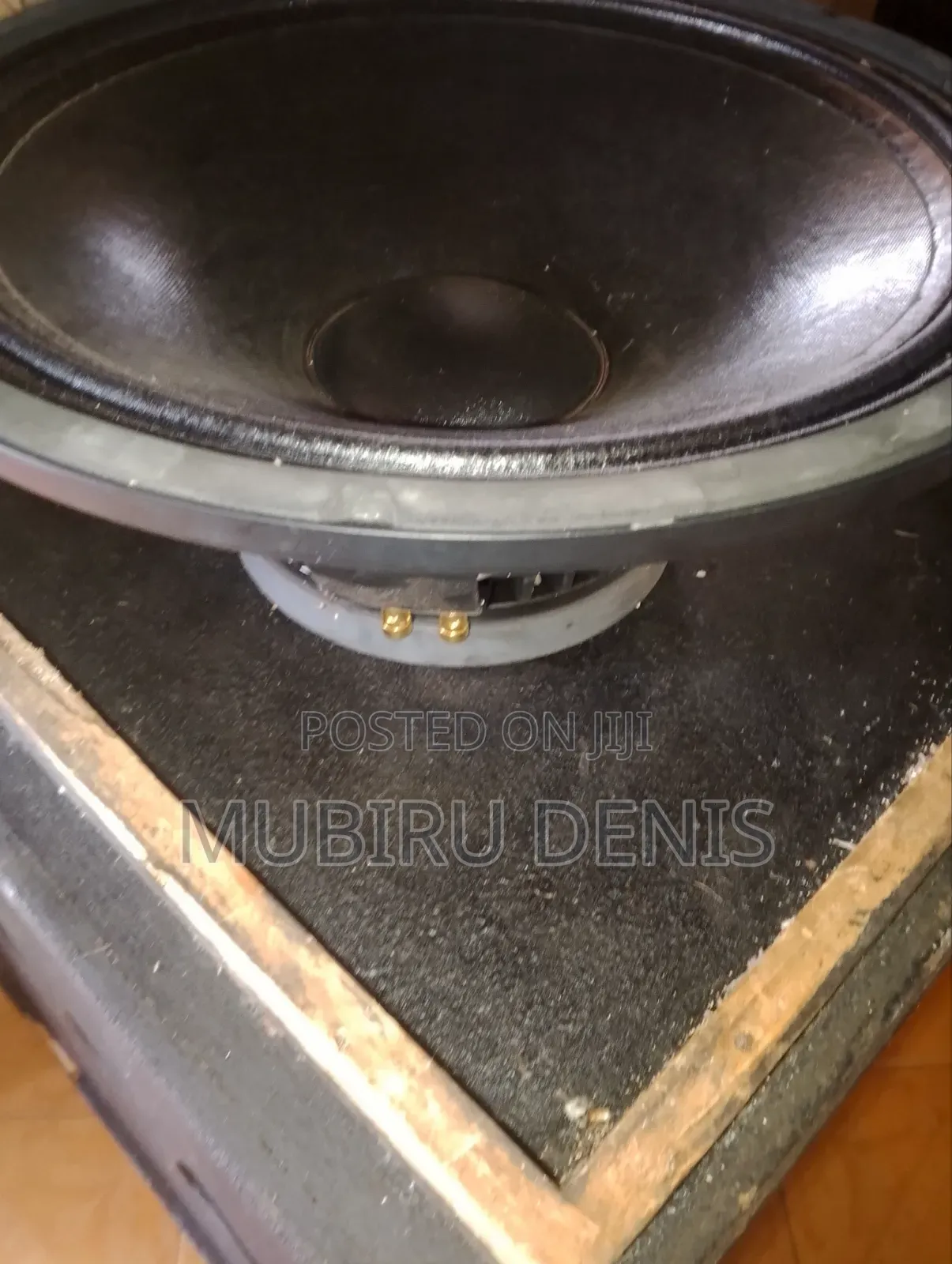 Bass Beam Cone