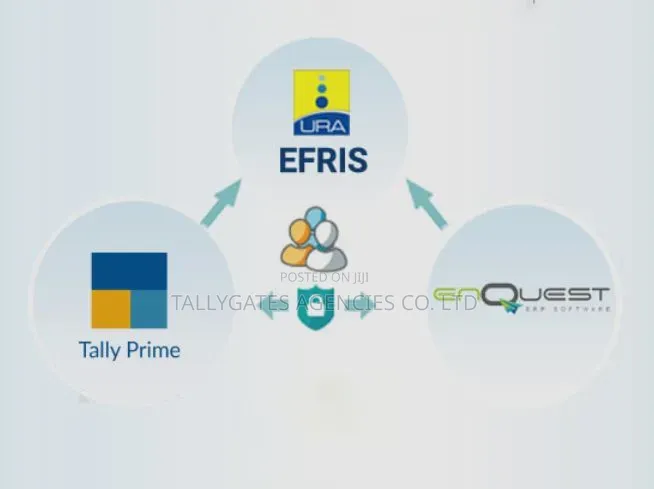 Integrate Your Business With EFRIS
