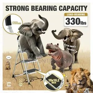 3 - Step Ladder