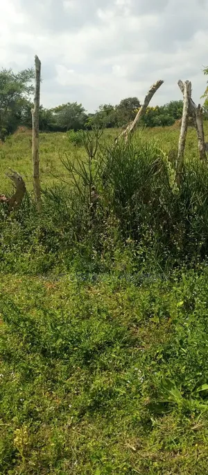 200 Acres for Sale in Kalagala -Nakaseke