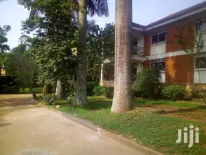 Fully Furnished House In Kitante For Rent